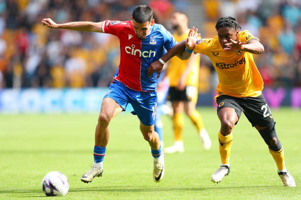 迷们对本届 迷们对本届